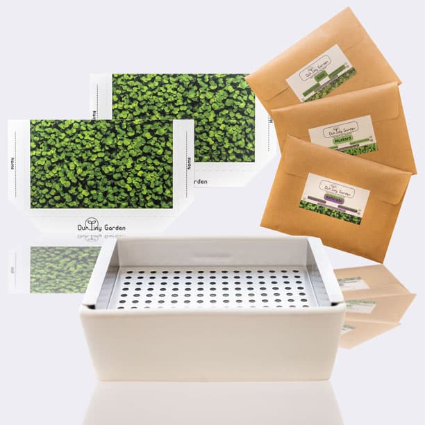 Basic Microgreen Grow Kit